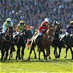 bet on grand national 2019